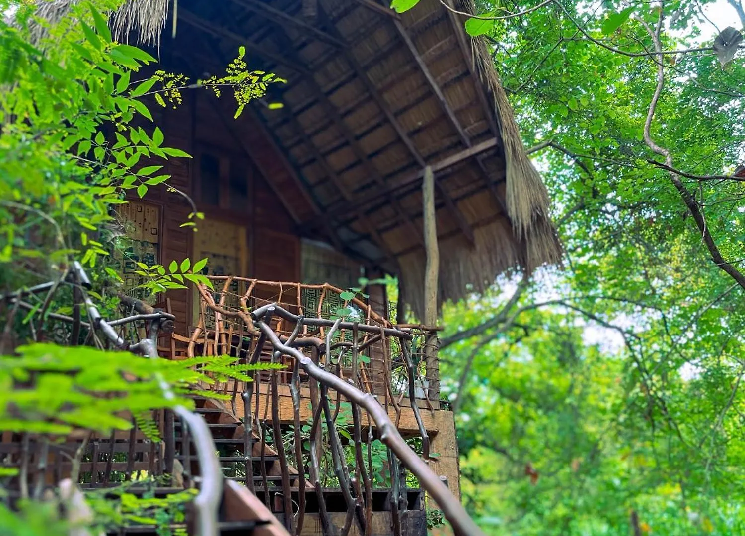 Habarana Tree House Ambasewana Resort