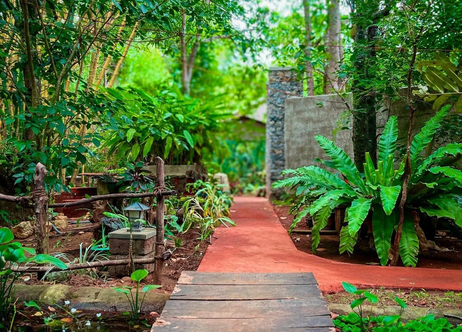 Habarana Tree House Ambasewana Resort