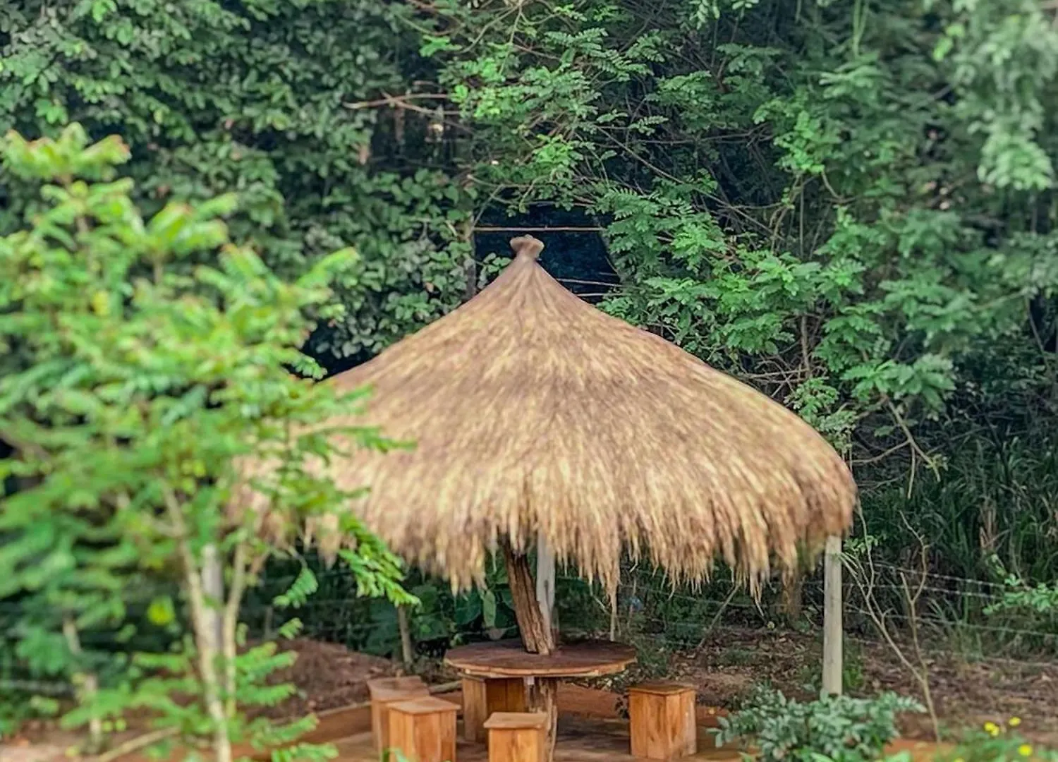 Habarana Tree House Ambasewana Resort