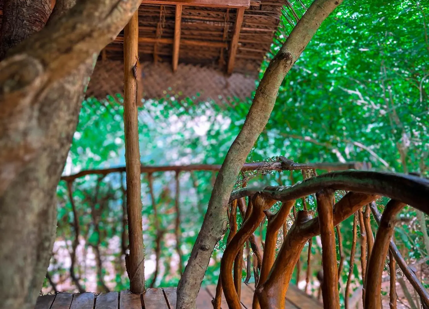 Habarana Tree House Ambasewana Resort 3*,  Sri Lanka