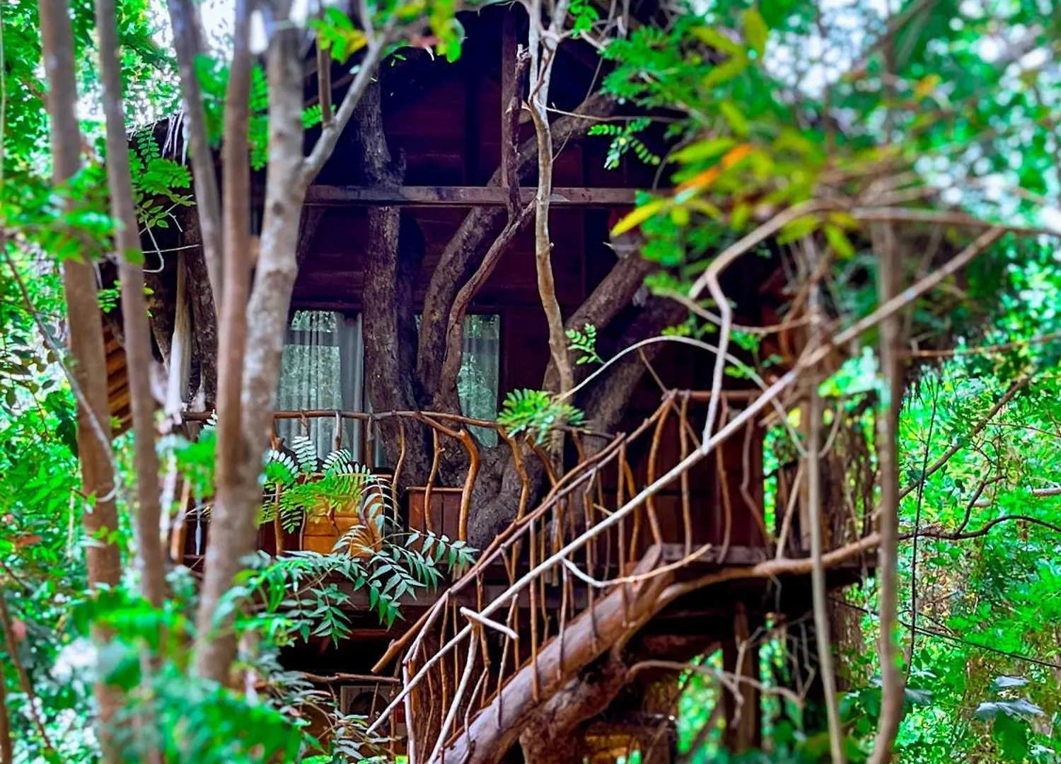 Habarana Tree House Ambasewana Resort