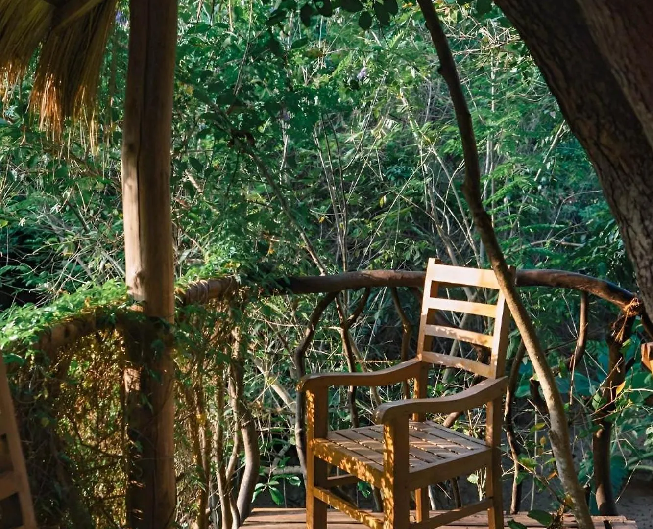 Habarana Tree House Ambasewana Resort