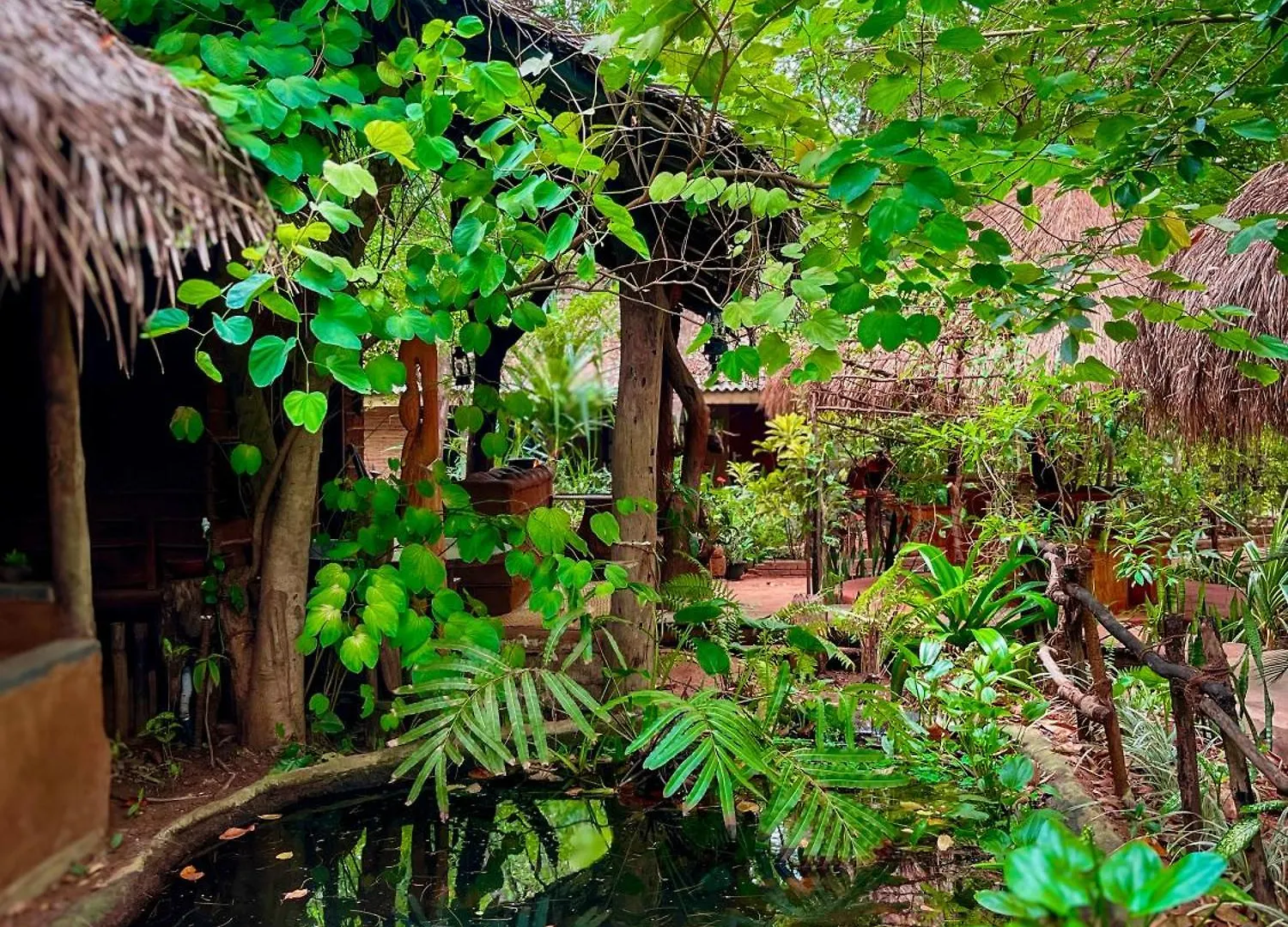 Habarana Tree House Ambasewana Resort