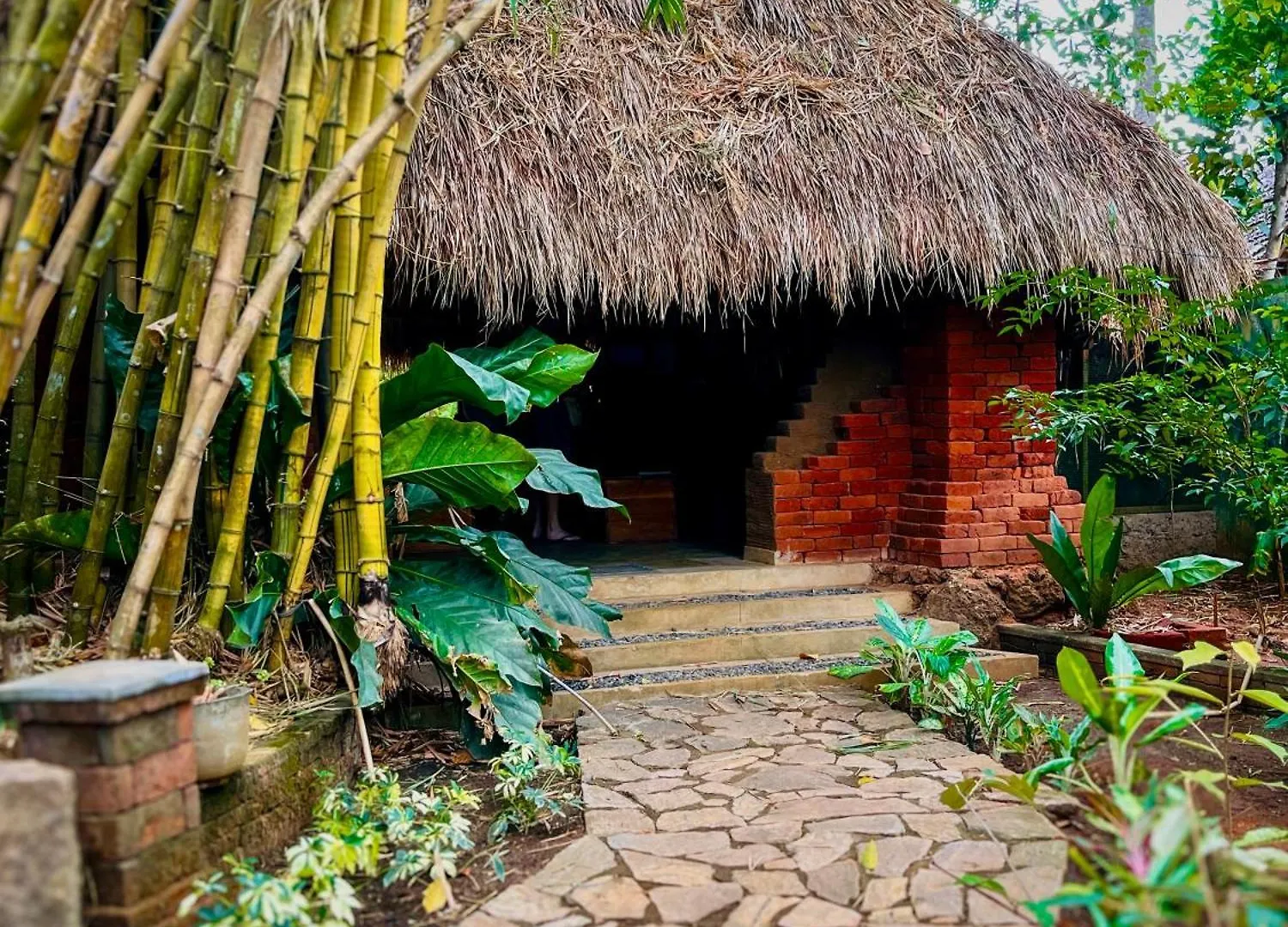 Habarana Tree House Ambasewana Resort Sri Lanka