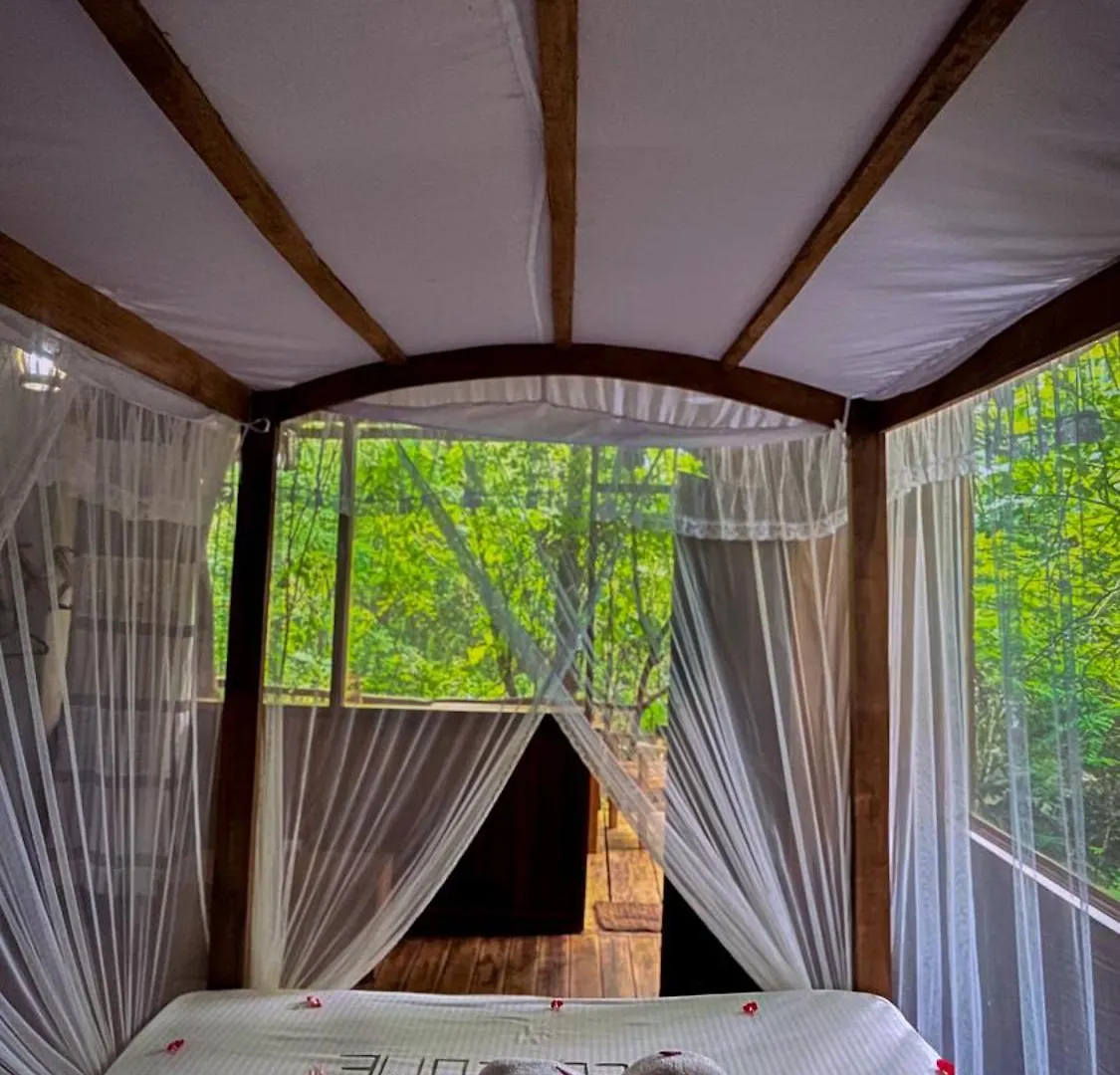 Habarana Tree House Ambasewana Resort Sri Lanka
