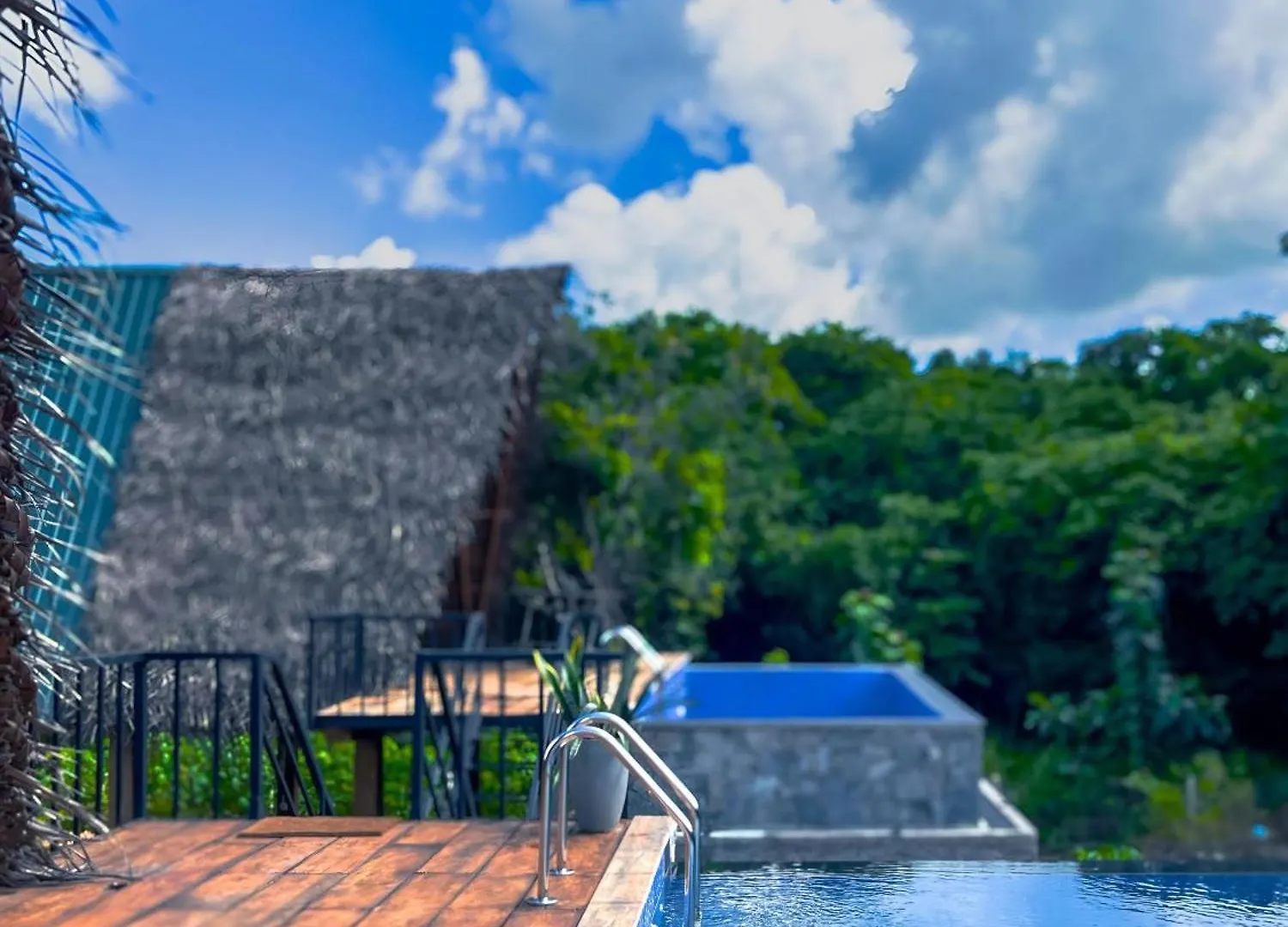 Habarana Tree House Ambasewana Resort