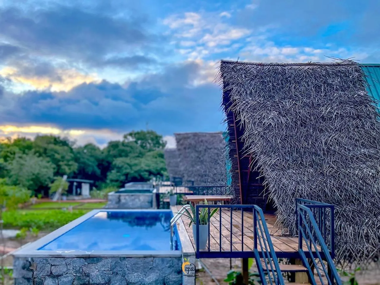 Habarana Tree House Ambasewana Resort