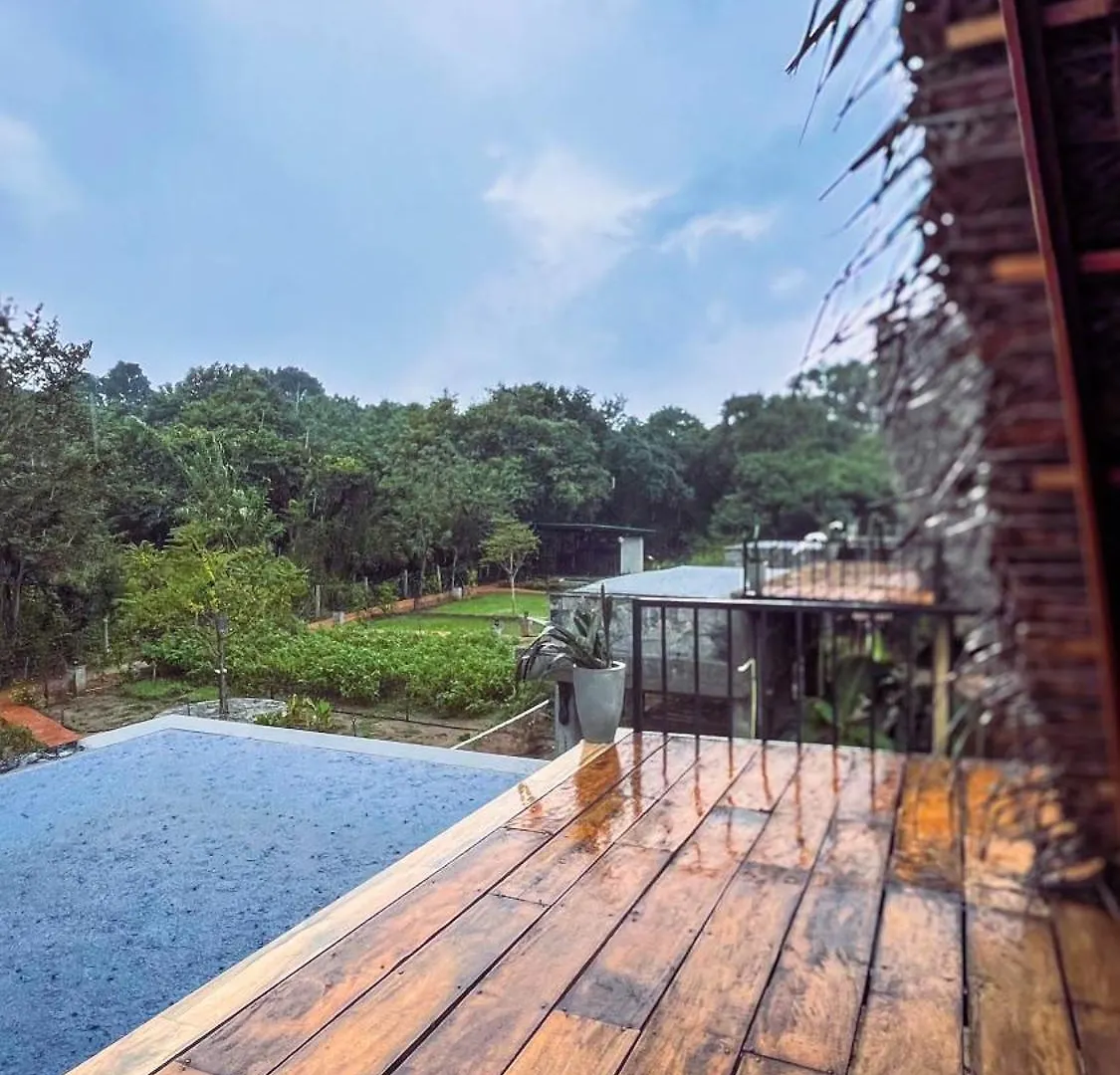 Habarana Tree House Ambasewana Resort